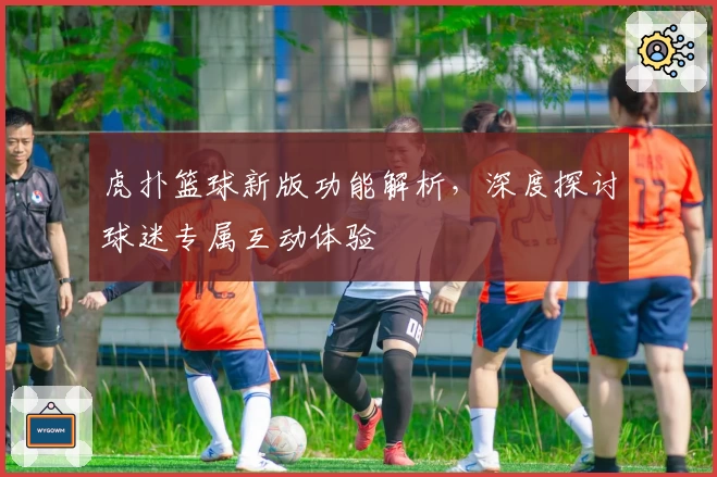 虎扑篮球新版功能解析，深度探讨球迷专属互动体验