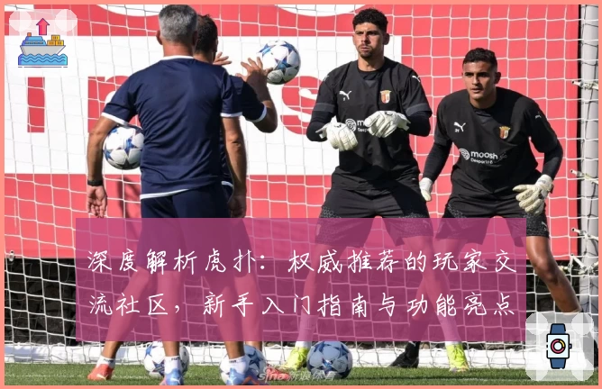 深度解析虎扑：权威推荐的玩家交流社区，新手入门指南与功能亮点全面解读