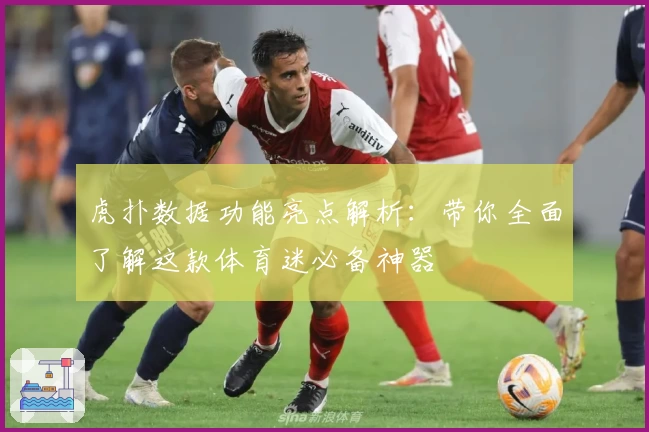 虎扑数据功能亮点解析：带你全面了解这款体育迷必备神器